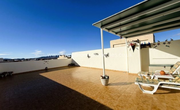 Obra nueva - Apartment - Pinoso