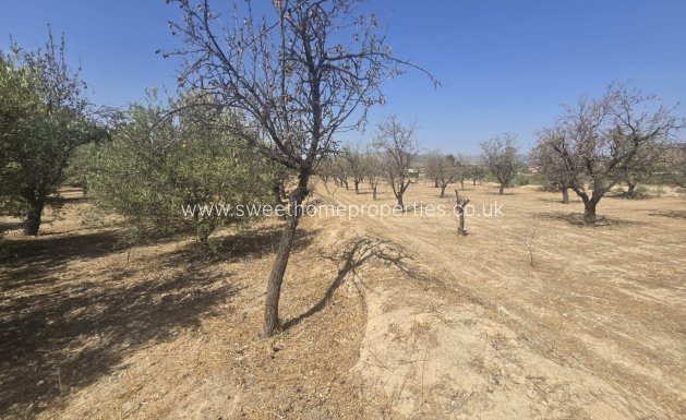 Resale - Villa - Aspe - El tolomó