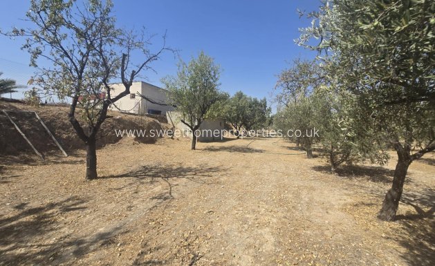 Resale - Villa - Aspe - El tolomó