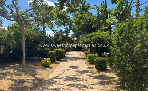 Reventa - Casa de campo - Sax
