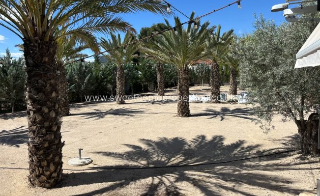 Reventa - Casa de campo - Sax