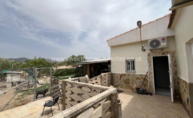 Reventa - Casa de campo - Sax
