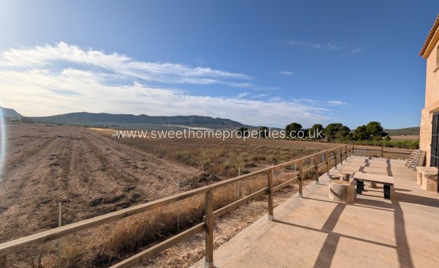 Resale - Country house - Salinas