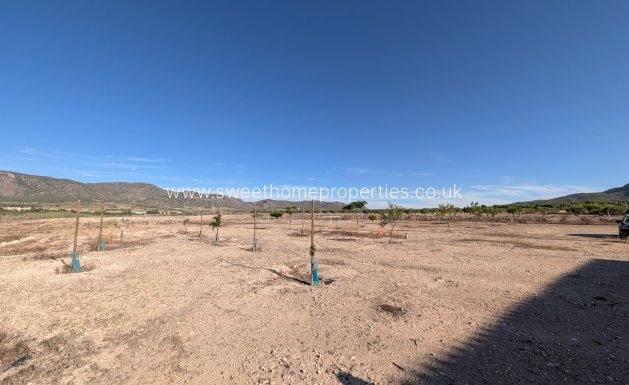 Resale - Country house - Salinas