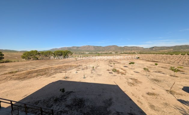 Resale - Country house - Salinas