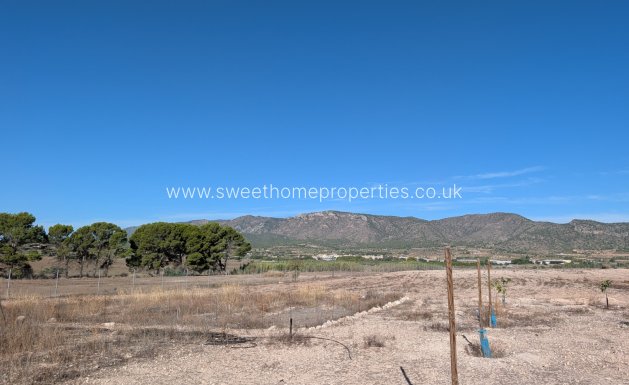 Resale - Country house - Salinas