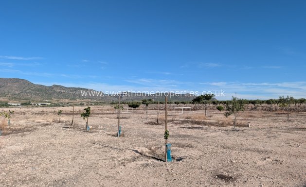 Resale - Country house - Salinas