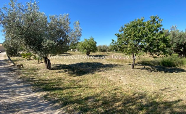 Reventa - Casa de campo - Sax