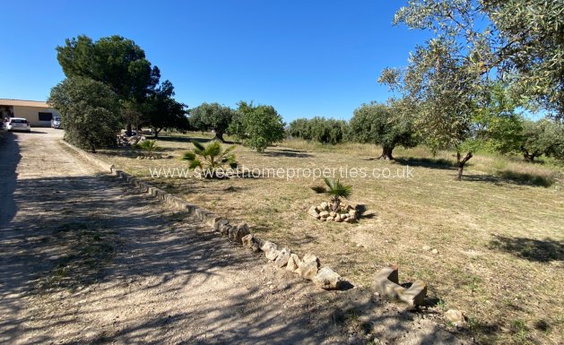 Reventa - Casa de campo - Sax