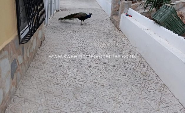 Resale - Country house - Sax