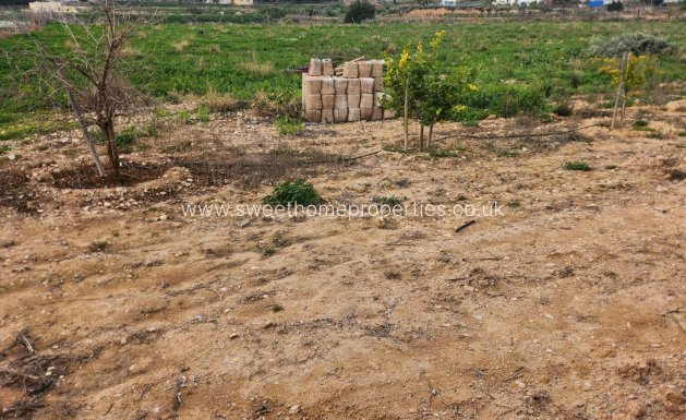 Resale - Country house - Novelda - CASAS DE SALA