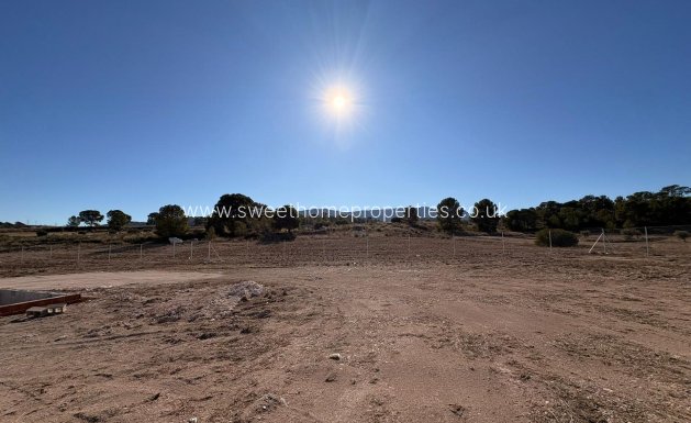 Obra nueva - Casa de campo - Pinoso