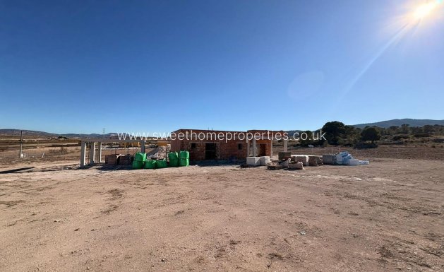 Obra nueva - Casa de campo - Pinoso