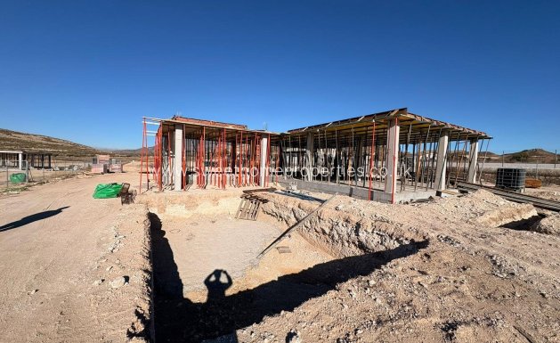 Obra nueva - Casa de campo - Pinoso