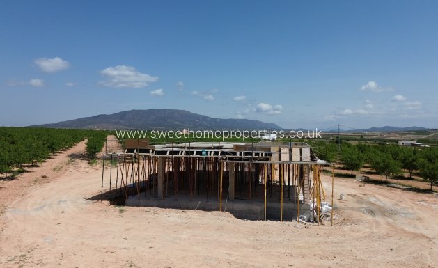 Obra nueva - Casa de campo - Pinoso