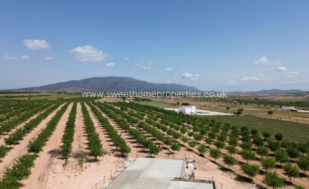 Obra nueva - Casa de campo - Pinoso