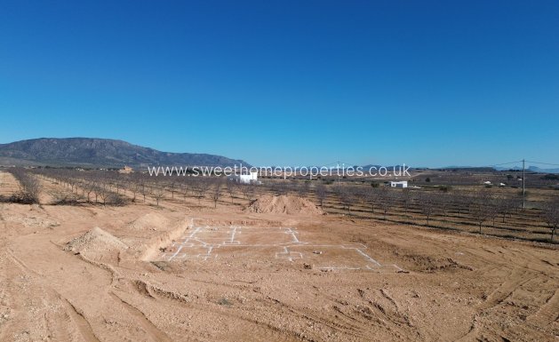 Obra nueva - Casa de campo - Pinoso