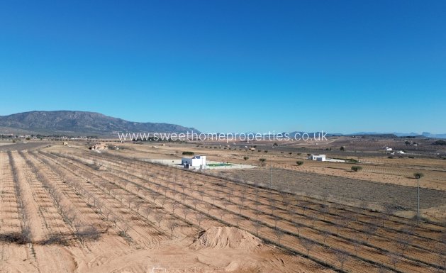 Obra nueva - Casa de campo - Pinoso