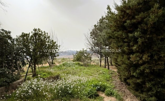 Reventa - Casa de campo - Algueña - ALGEÑA