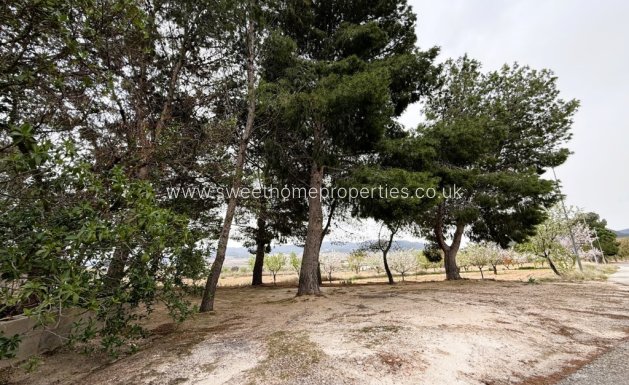 Reventa - Casa de campo - Algueña - ALGEÑA