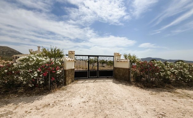 Reventa - Casa de campo - Monovar - MONOVAR