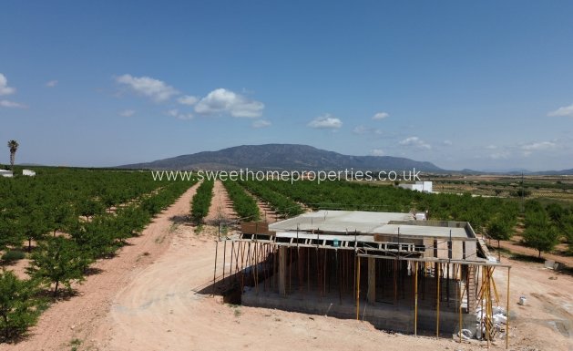 Nieuwbouw Woningen - Country house - Pinoso