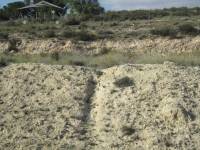 Venta - Chalet - Novelda - CAMPET