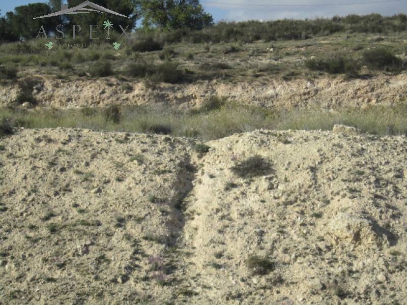 Venta - Chalet - Novelda - CAMPET