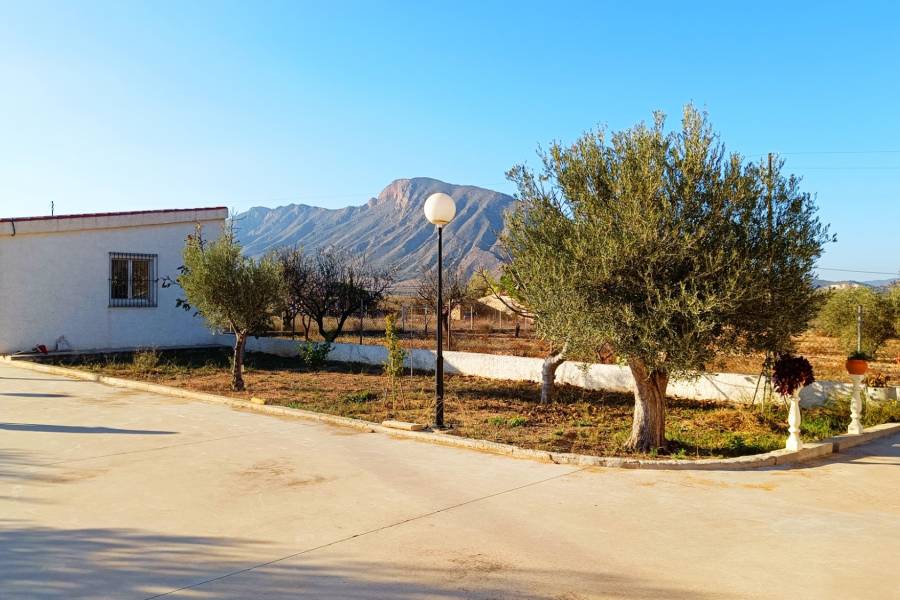 Venta - Casa de campo - Hondon De Los Frailes - BARBAROJA