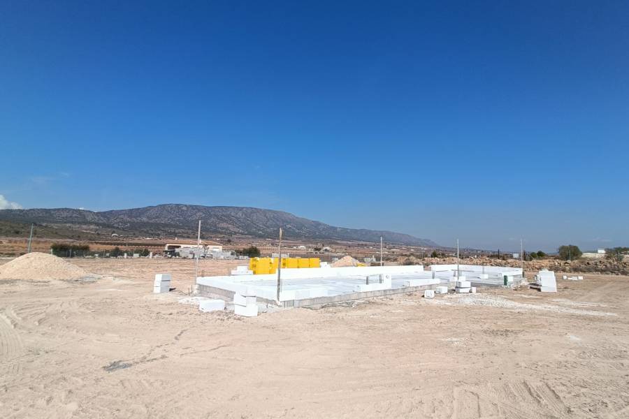 New Build - Villa - Pinoso