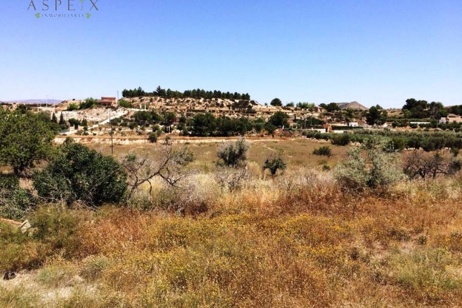 Venta - Casa de campo - Monforte Del Cid - Monforte cid