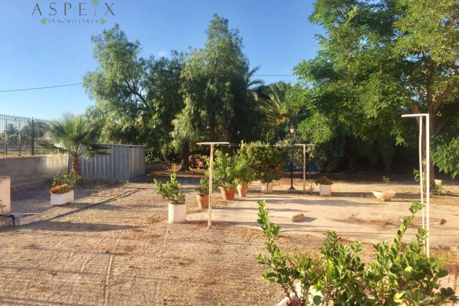 Venta - Chalet - Elche  - Valverde