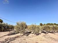Venta - Casa de campo - La Romana - ALCANÁ
