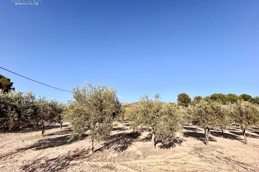 Venta - Casa de campo - La Romana - ALCANÁ