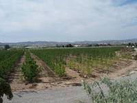 Re-sale - Country house - Monforte Del Cid - GABARRERA