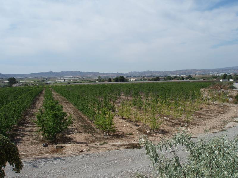 Re-sale - Country house - Monforte Del Cid - GABARRERA