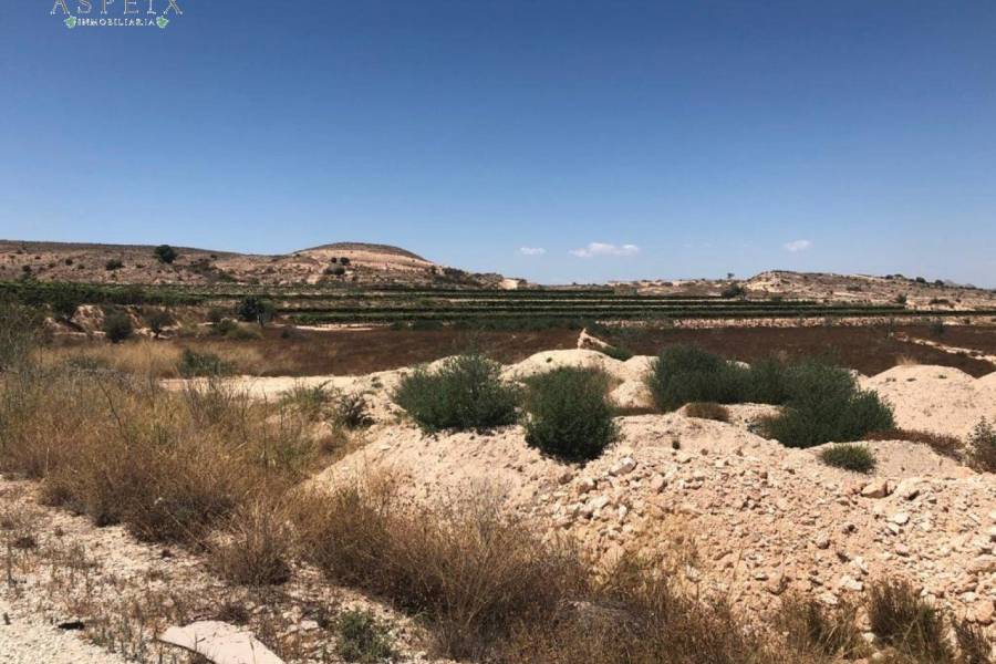 Re-sale - Plot - Monforte Del Cid - AMOLOIG