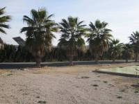 Venta - Casa de campo - Aspe