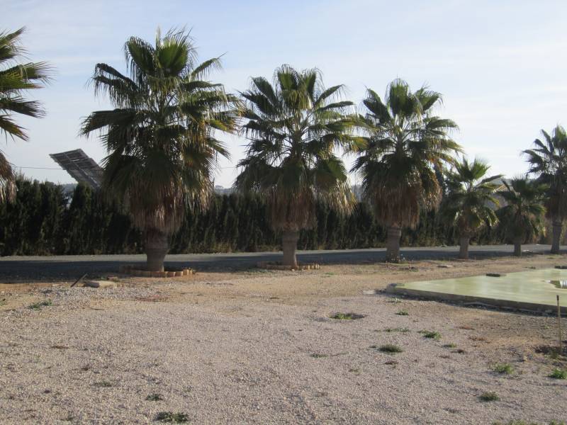 Venta - Casa de campo - Aspe