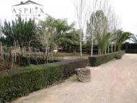 Re-sale - Villa - Novelda - CASAS DE SALA