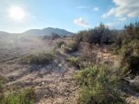 Venta - Casa cueva - Hondon De Las Nieves - LOS CALORES