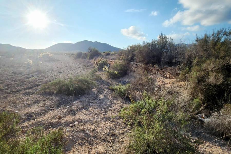 Venta - Casa cueva - Hondon De Las Nieves - LOS CALORES