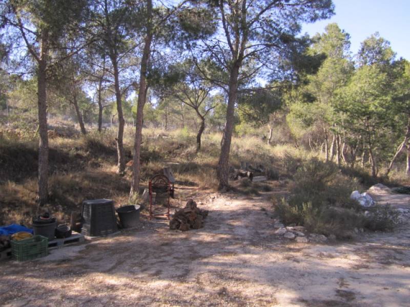 Re-sale - Villa - Pinoso - UBEDA