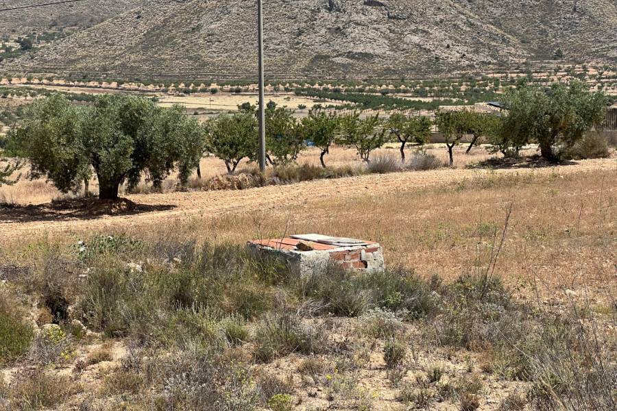 Venta - Plot - Barbarroja