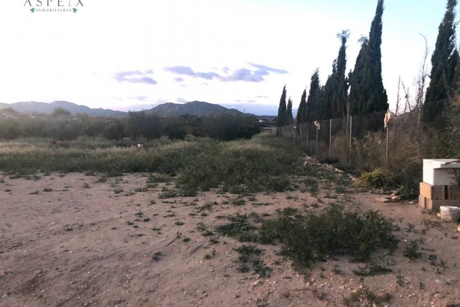 Re-sale -  - Novelda - HORNA BAJA