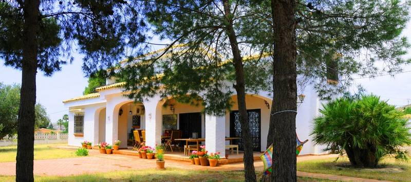 Venta - Casa de campo - Elche
