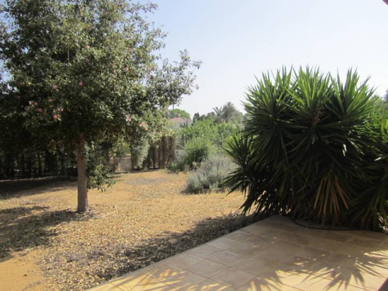 Venta - Chalet - Elche  - PEÑA LAS AGUILAS