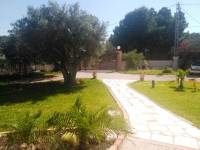 Venta - Chalet - Elche  - Perleta