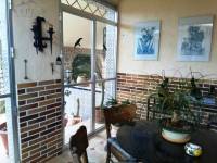 Re-sale - Villa - La Romana - ALCANÁ