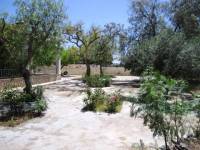 Venta - Casa de campo - Aspe